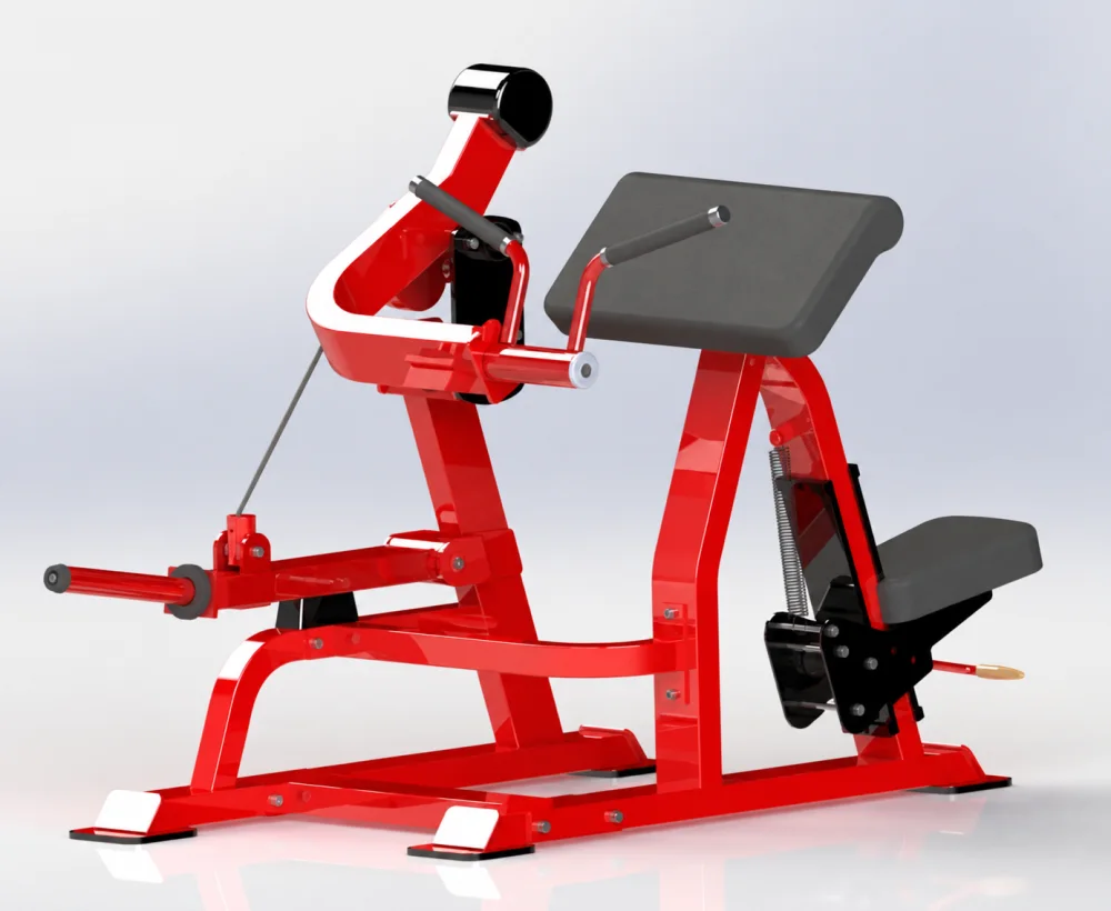 Bicep Curl